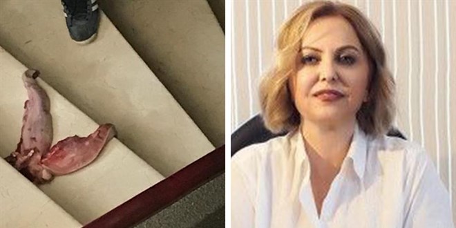 Prof. Dr. Esin Şenol'u 'dana dili' ile tehdit eden sanığa hapis cezası