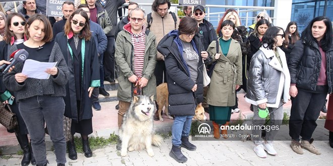 Kırklareli'nde köpek yavrusunu öldürmekle suçlanan zanlının serbest kalmasına tepki