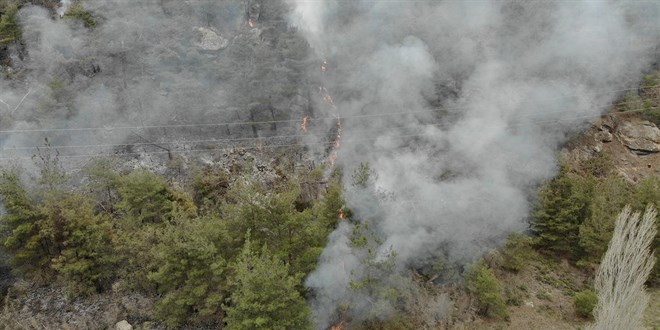 Bilecik'te ormanlık alanda çıkan yangına müdahale ediliyor