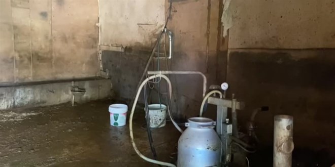 Düzce'de elektrik akımına kapılan kadın öldü