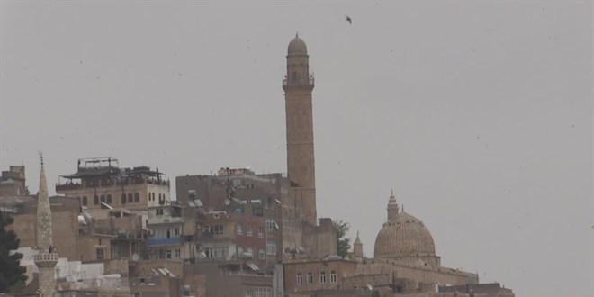 Mardin, rnak ve Siirt'te toz tanm etkili oldu