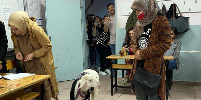 Türkiye'den sandık manzaraları