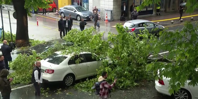 Ankara'da sağanak nedeniyle devrilen ağaç 3 araçta hasara yol açtı