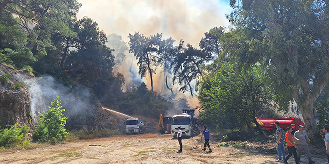 Antalya'da orman yangn balad