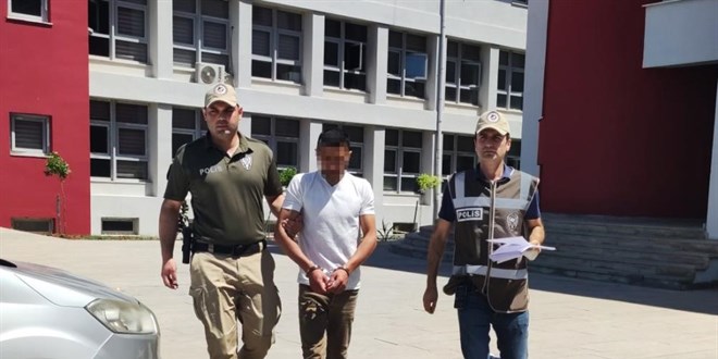 Koyunu döverek bayıltan kasap: Yormak için öyle yaptım