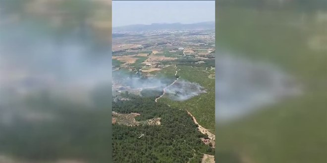 İzmir'de çıkan orman yangını kontrol altına alındı