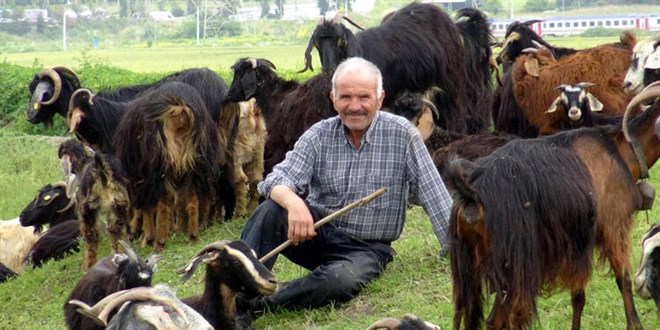 'Burası İstanbul'un ortasında bir yayla'