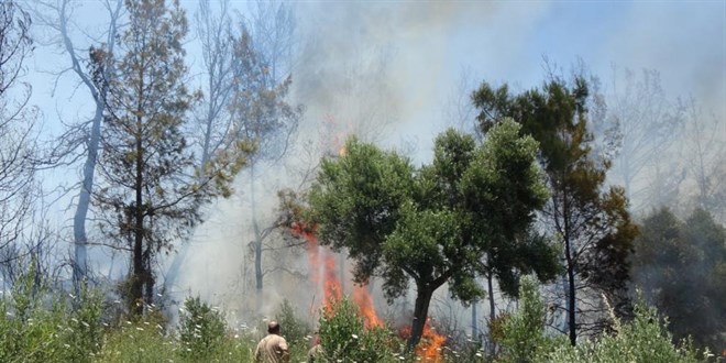 Antalya Valiliinden orman yangnlarn nlemek iin genelge