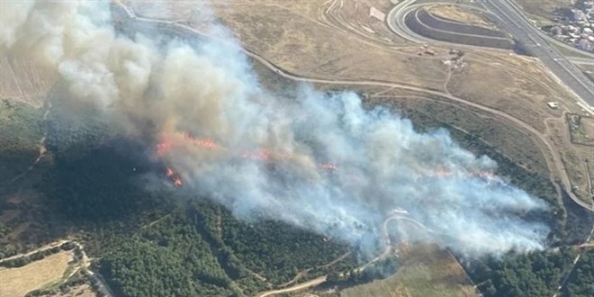 İzmir'de çıkan orman yangını kontrol altına alındı