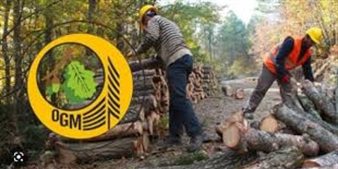 OGM 1377 sözleşmeli personel alımı sonuçlarını açıkladı