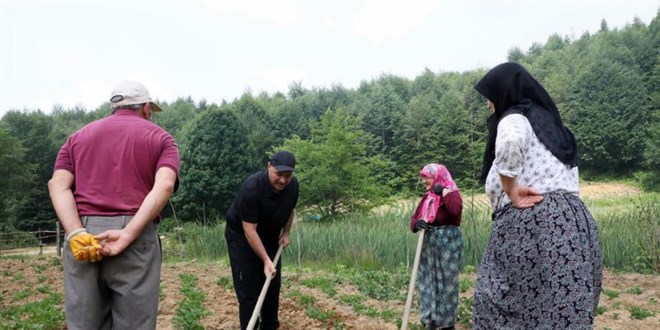 Vali Kaldrm, eline ald apayla vatandaa yardm etti