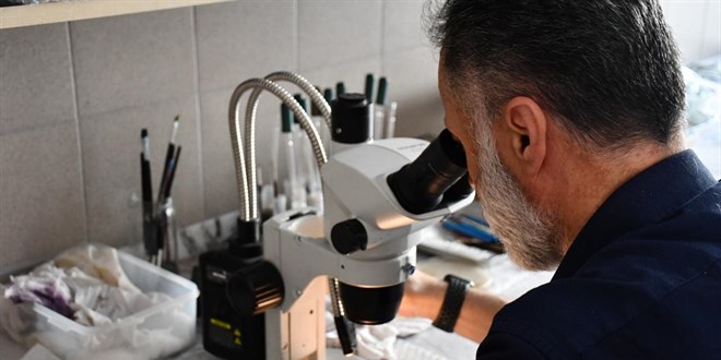 Türk bilim insanları yeni bir parazit türü keşfetti