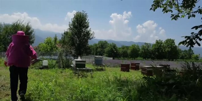 Salgn dneminde kye yerleen matematik retmeni, ifti oldu