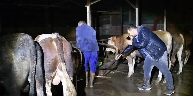 Düzce'deki sağanak kırsalda derelerin taşmasına neden oldu