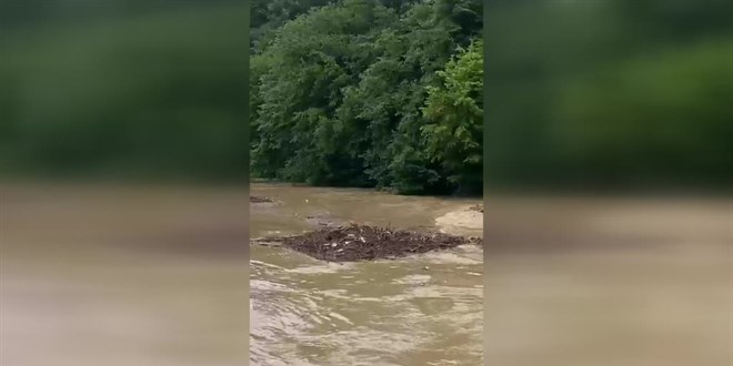 Düzce kırsalında sağanak nedeniyle dereler taştı, bazı yollar kapatıldı