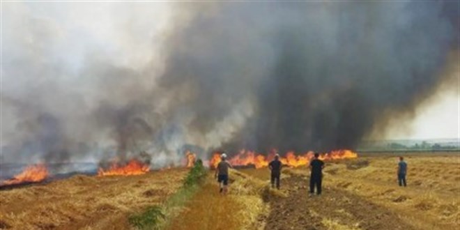Tekirdağ'da 40 dönüm buğday ekili alan yandı