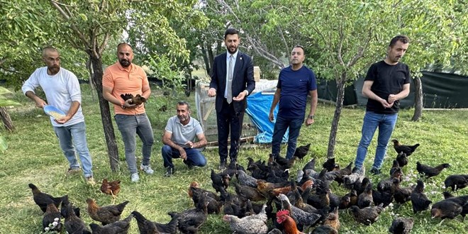 8 civcivle işe başlayan 4 öğretmen bin 200 tavuklu çiftlik kurdu