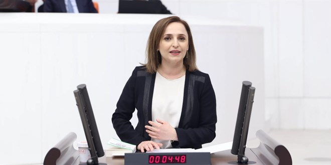 Ezidi köyünde yaşananlar Meclis gündeminde