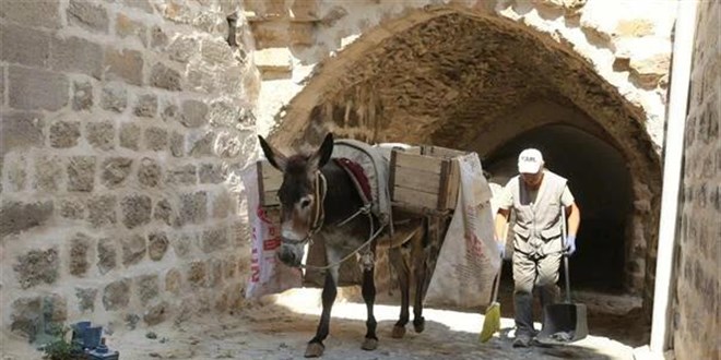 Kadrolu eşeklerin yaz mesaisi: 5 saat çalışacaklar