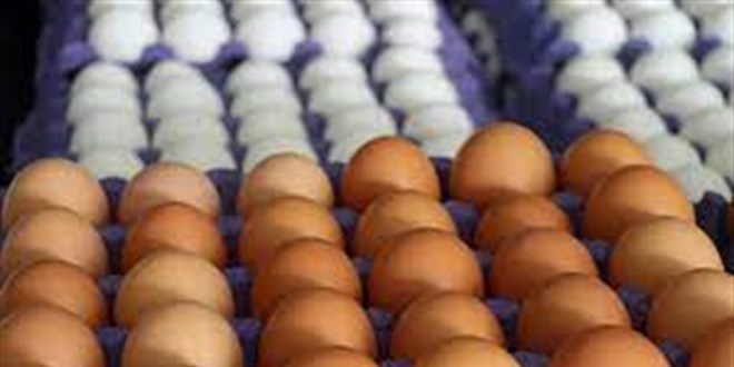 'Tayvan'a ihra edilen yumurtalarda zararl madde bulundu' iddiasna soruturma