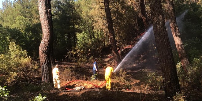 Bursa'da iki noktada orman yangını