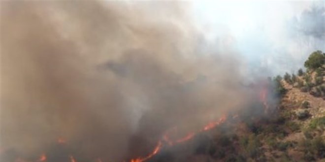 Kahramanmaraş'ta orman yangını.. Vali: Bazı evler yandı