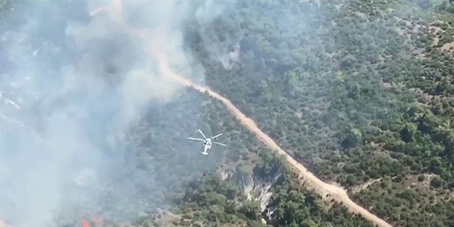 Manisa'daki orman yangınına dair Validen açıklama