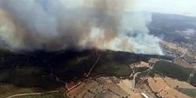 zmir Knk'taki orman yangn nedeniyle 3 mahalle tahliye ediliyor