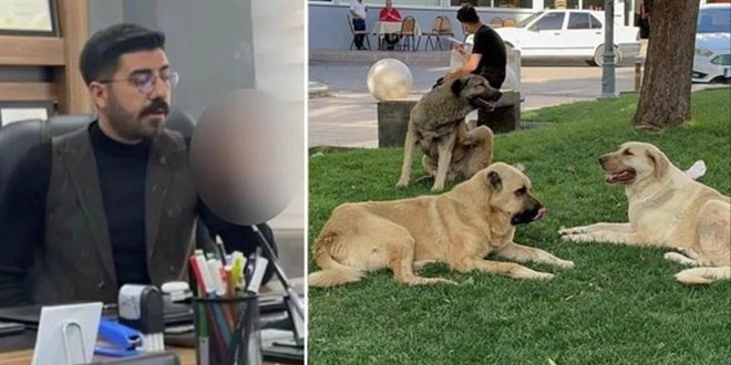 Kuduz şüphesiyle ölen mimarın ailesi soruşturmaya müdahil olacak