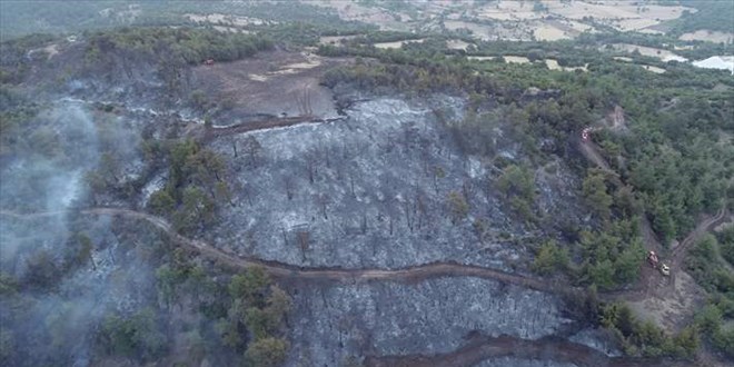 Çanakkale'deki orman yangınına müdahale ediliyor