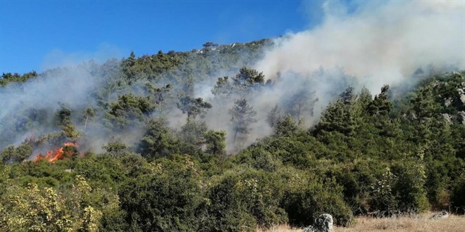 Soma'da orman yangını