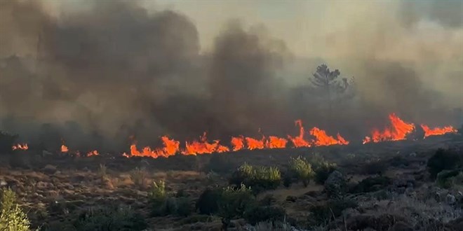 Bodrum'da makilik alanda yangın