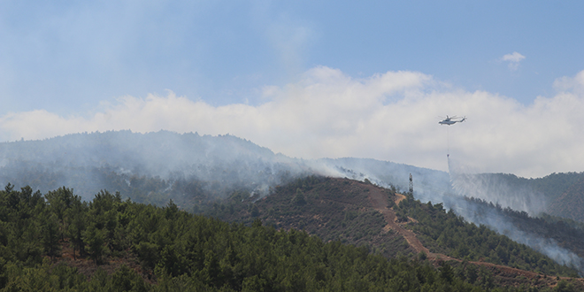 Hatay'daki orman yangnyla ilgili 3 tutuklama