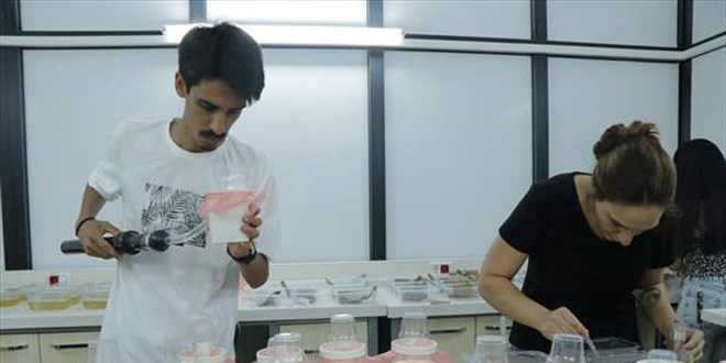 Asya kaplan sivrisineğine karşı plastik atık uyarısı