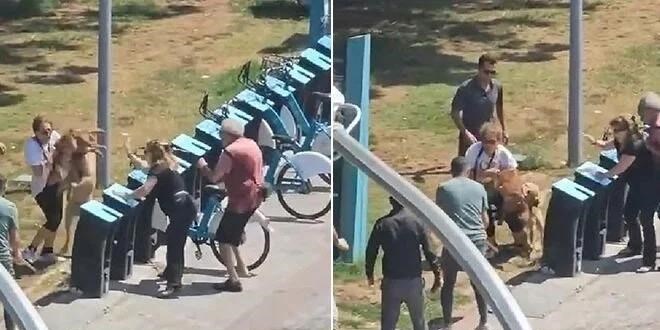 Kadıköy'de tasmasız köpek dehşet saçtı