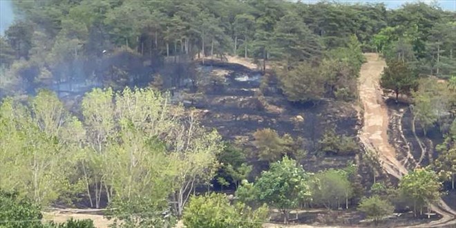 Tekirda'da ormanlk alanda kan yangn sndrld