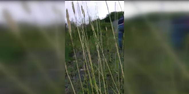 Sinop'ta engebeli sahilde mahsur kalan 88 yaşındaki kişi kurtarıldı