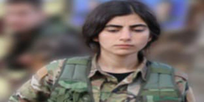 MİT, PKK/YPJ Sorumlusunu Suriye/Haseke'de etkisiz hale getirdi