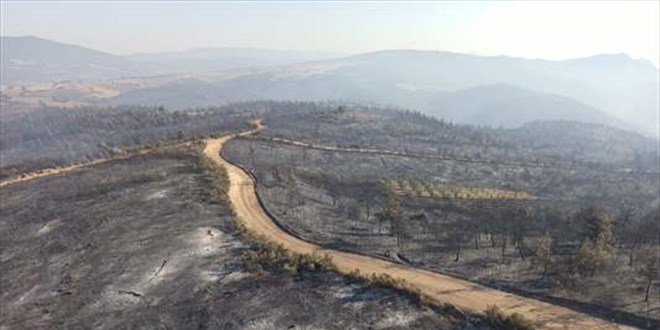 Bilecik ve Bursa'daki orman yangn 18'inci saatinde kontrol altna alnd
