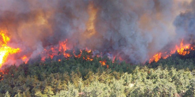 Diyarbakr'n Ergani ilesinde kan orman yangnna mdahale ediliyor