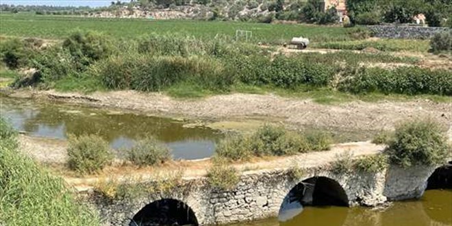 Byk Menderes Nehri'nde kuraklk nedeniyle yzlerce balk ld