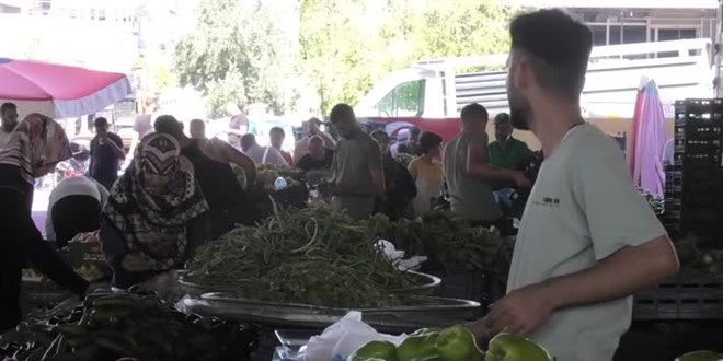 Semt pazarında babasıyla çalışan genç, üniversiteyi tam burslu kazandı