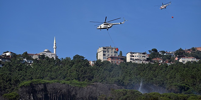 Maltepe'de ormanlık alanda çıkan yangın söndürüldü
