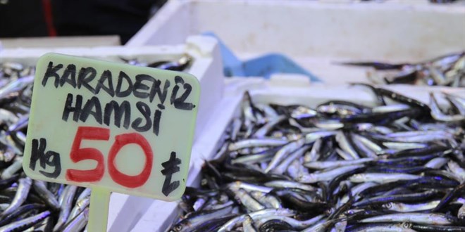 Palamut olmayınca krallık hamsiye kaldı