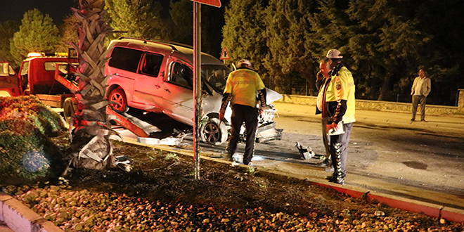 Denizli'de aaca ve aydnlatma direine arpan arataki 2 kii ld