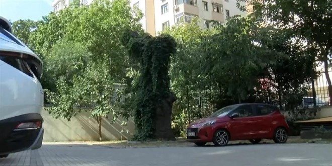 Kadıköy'de araçların üstüne devrilen ağaç 41 daireyi icralık yaptı