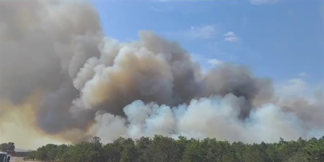 Tekirda'da kan orman yangn kontrol altna alnd