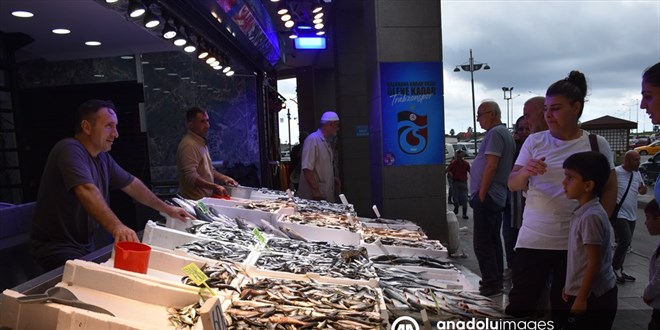 Trabzon'daki tezgahlarda balık çeşitleri arttı