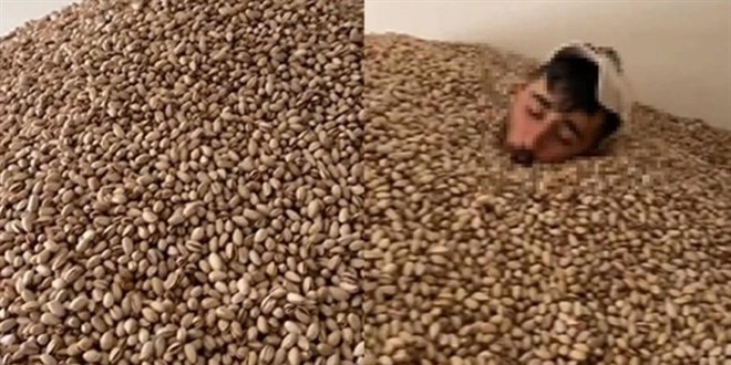 Fıstıkların içinde kaydedilen görüntülerle ilgili 1 şüpheli gözaltına alındı