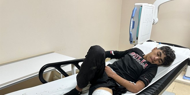 Erzurum'da bozayı saldırısına uğrayan 16 yaşındaki çocuk yaralandı